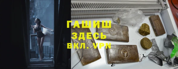 МДПВ Ельня